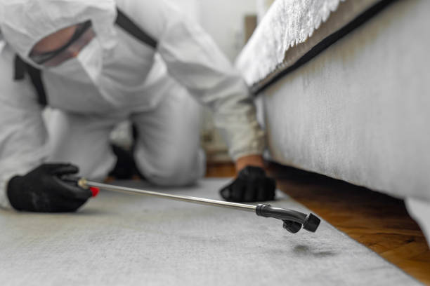 Professional Termite Control technician working in Westgate, FL